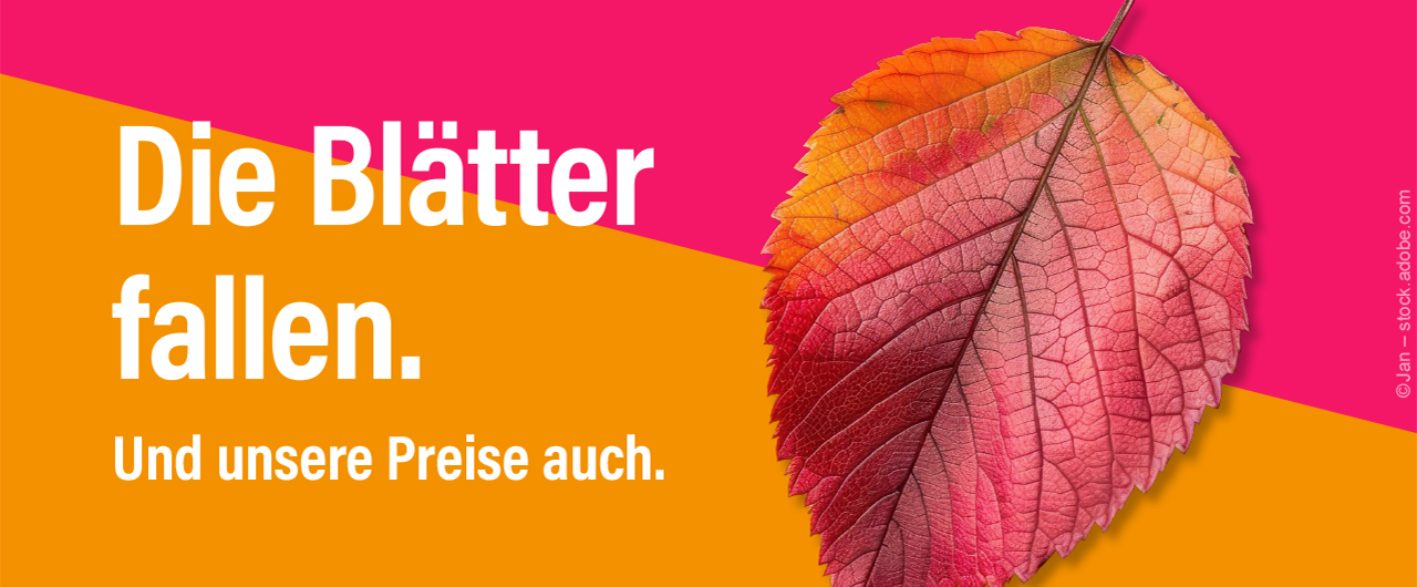 LP-Slider-Herbst